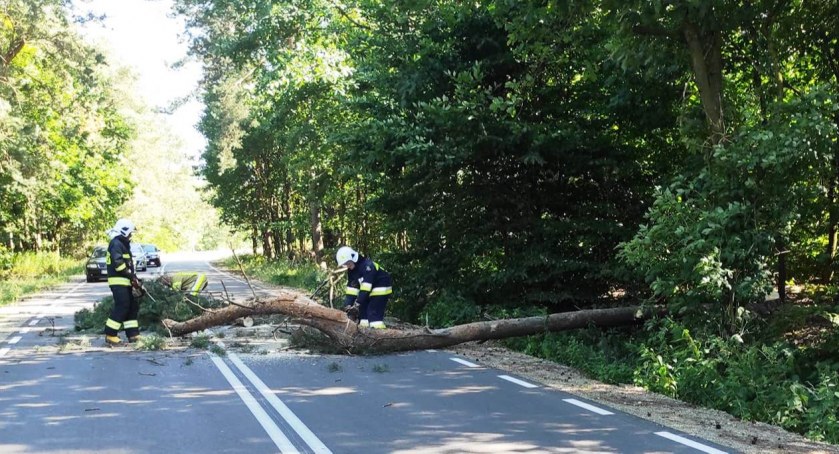 Strażacy z OSP Wola Gułowska w akcji! 