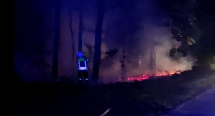 Straż Pożarna, podobnej interwencji Strażacy mają ręce pełne roboty - zdjęcie, fotografia