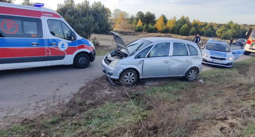 Straż Pożarna, Pracowity strażaków Fiukówki Wypadek Teodorowie ratunek kota! - zdjęcie, fotografia