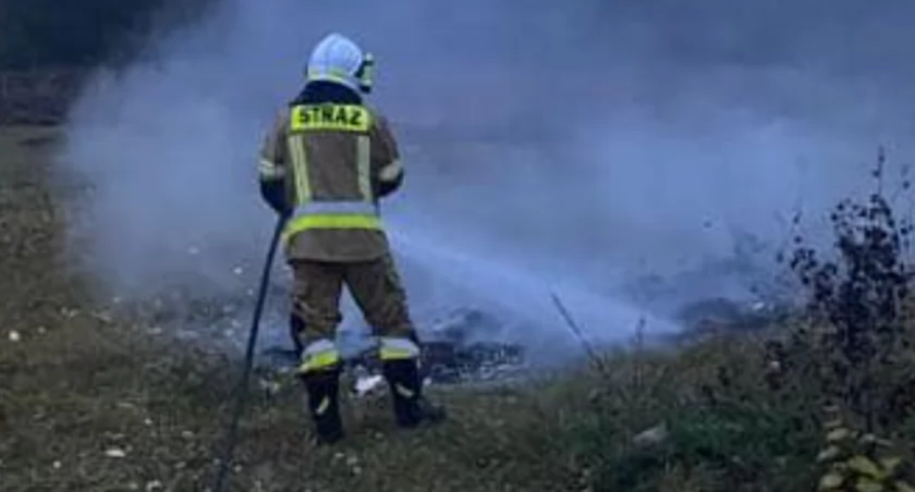 Straż Pożarna, Szybka akcja strażaków Zgórznica opanowała pożar śmieci roślin - zdjęcie, fotografia