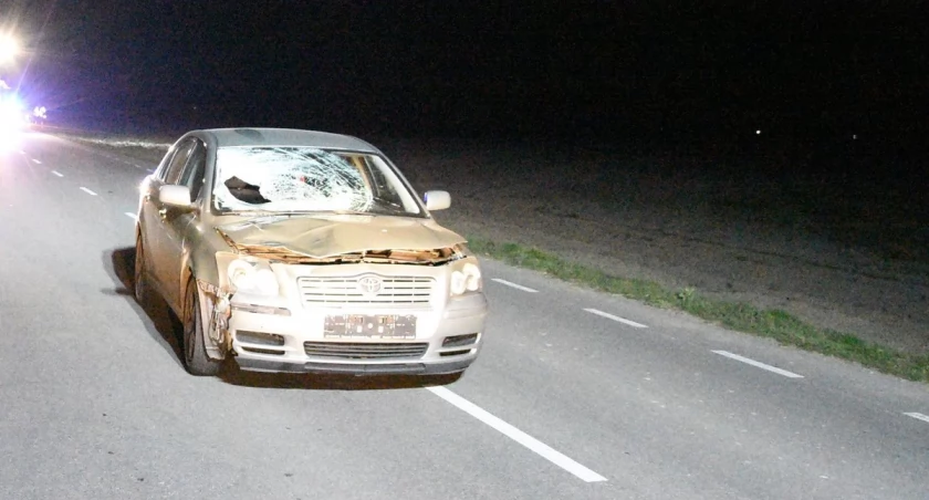 Śmiertelne potracenie w Gminie Trzebieszów. Wypadek 