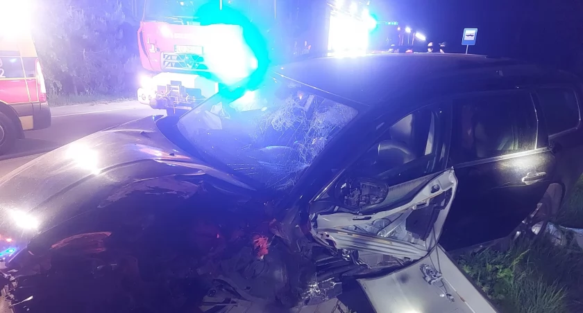 Fot. Komenda Powiatowa Państwowej Straży Pożarnej w Radzyniu Podlaskim