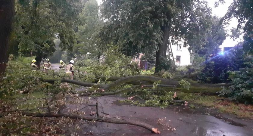 OSP Podosie: Galeria zdjęć z interwencji strażaków z OSP Podosie w Radoryżu Smolany. Zdjęcia ukazują szybką, skuteczną akcję usuwania połamanych drzew z drogi, przez co przywrócono bezpieczeństwo w ruchu drogowym. Działania strażaków są dowodem na ich zaangażowanie i profesjonalizm w ratowaniu innych.