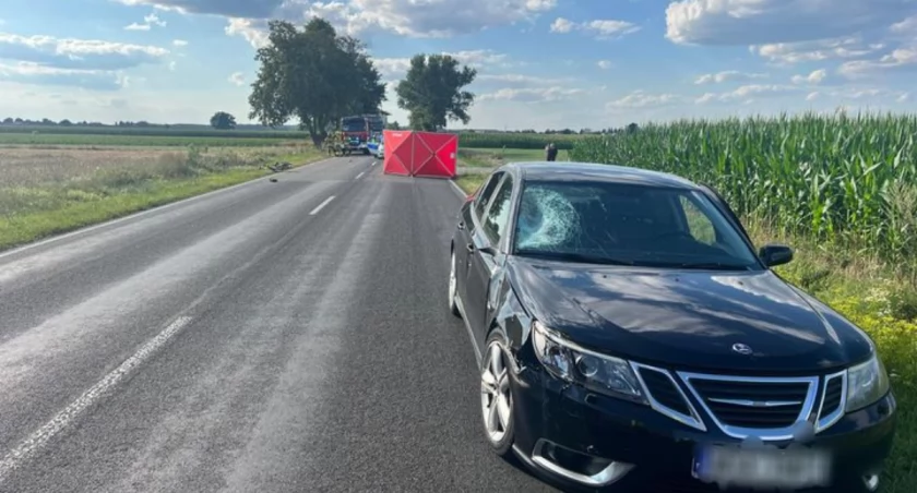Wypadki, Śmierć drodze Gołąbkach zginął rowerzysta - zdjęcie, fotografia