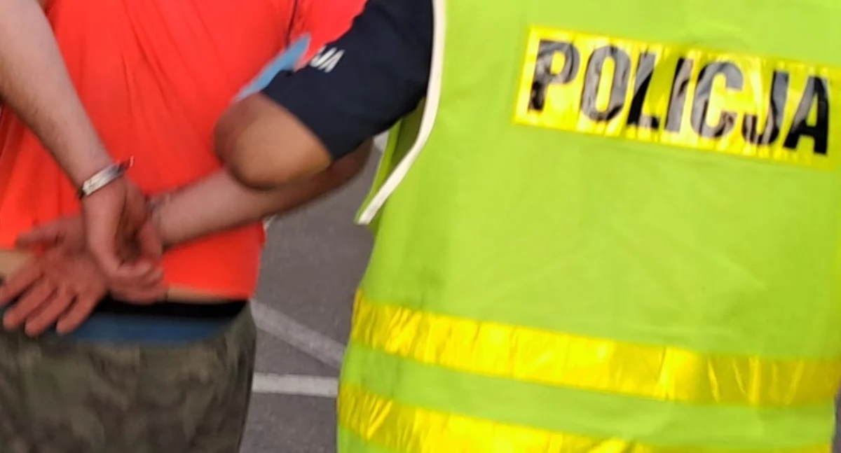 Policja, Seria kradzieży powiecie łukowskim bronić - zdjęcie, fotografia