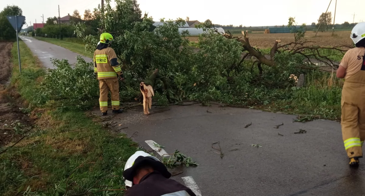 Straż Pożarna, Charlejów walczy skutkami nawałnicy! (FOTO) - zdjęcie, fotografia