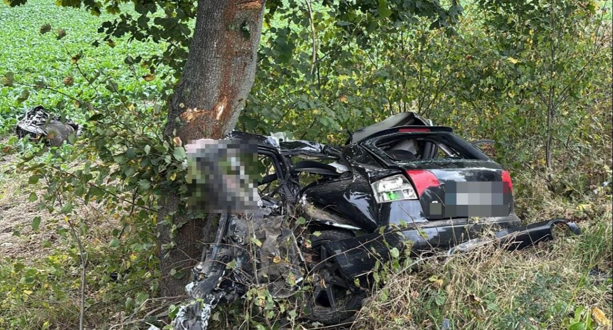 Przestępczość, Tragiczny wypadek regionie letni kierowca zginął miejscu - zdjęcie, fotografia