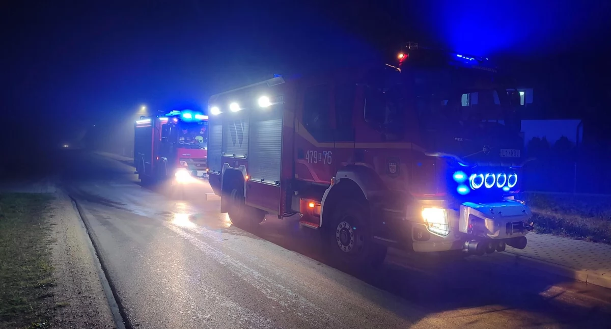 Straż Pożarna, Wojcieszków Adamów ratunek! stało - zdjęcie, fotografia