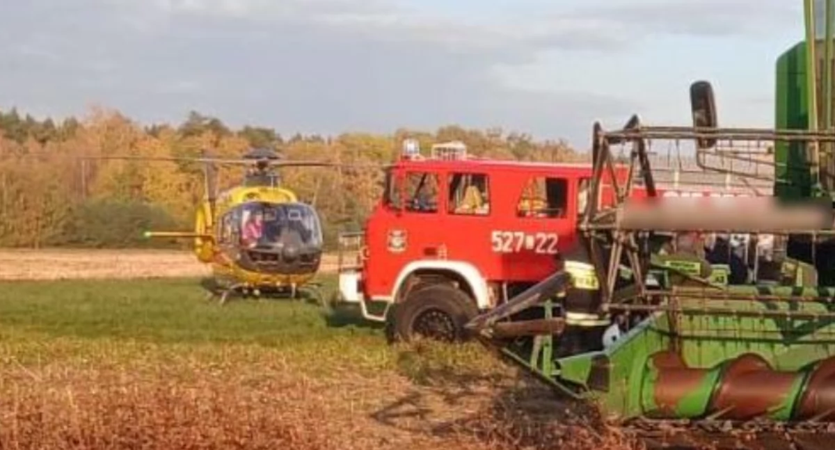 Policja, DRAMAT LATEK CIĘŻKO RANNY PODCZAS POLNYCH  - zdjęcie, fotografia