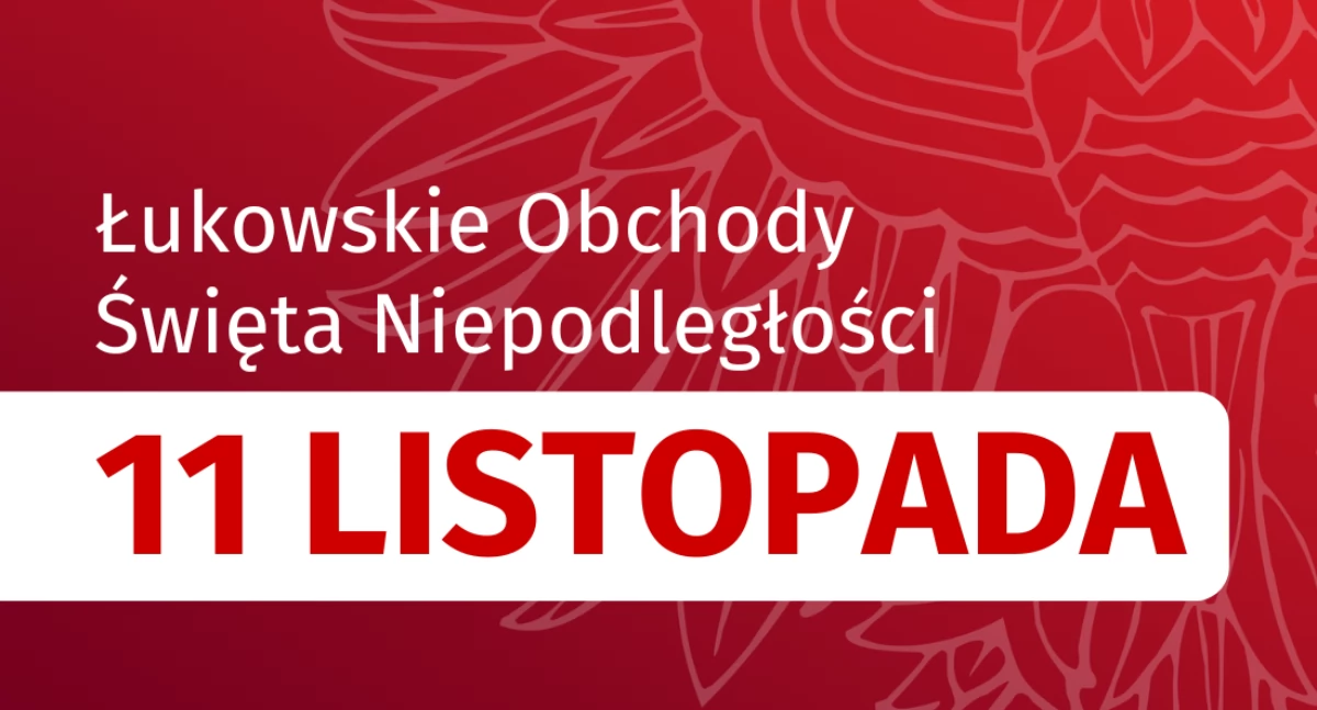materiał organizatora