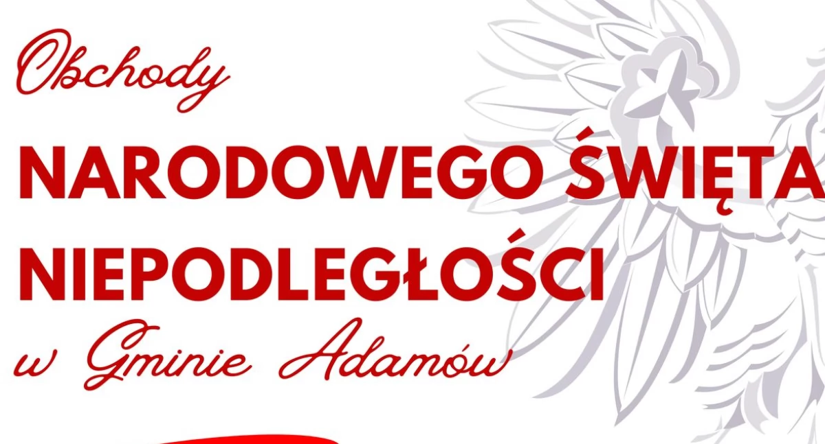 materiał organizatora