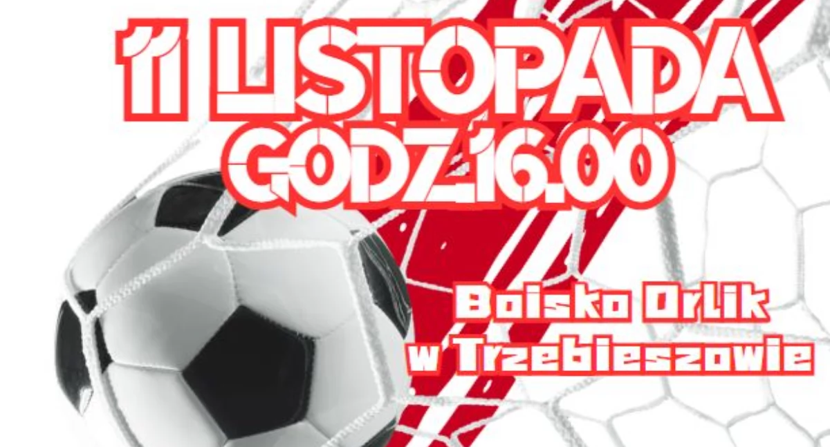 materiał organizatora