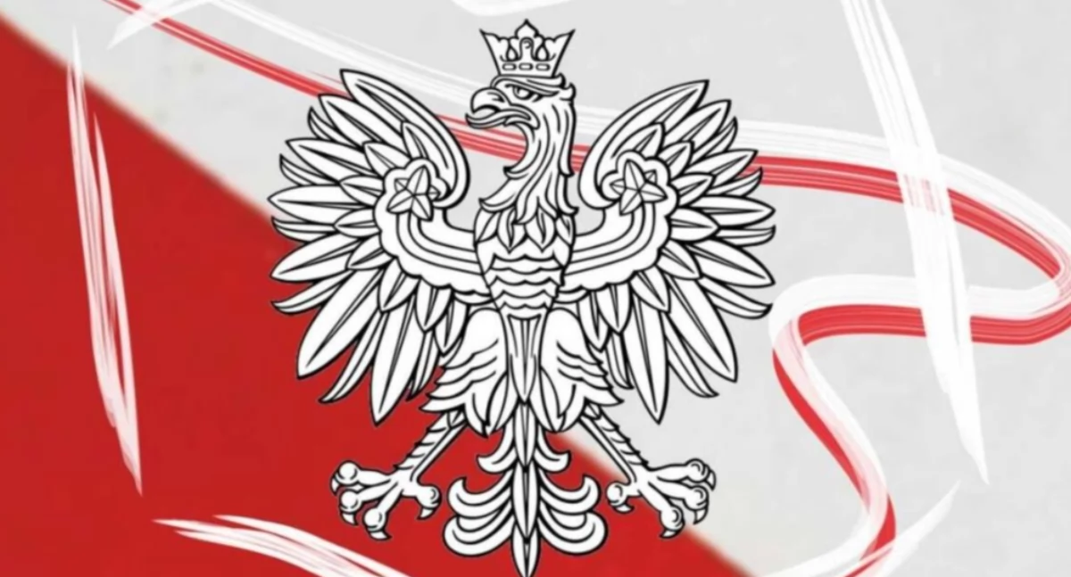 materiał organizatora