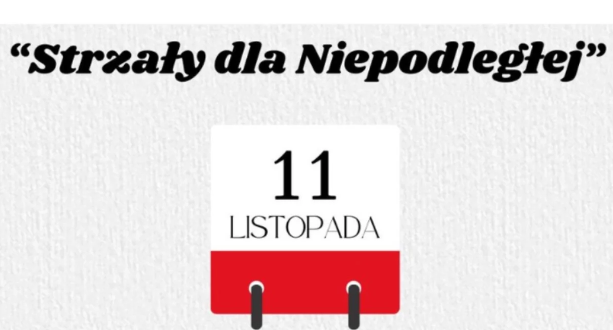 materiał organizatora