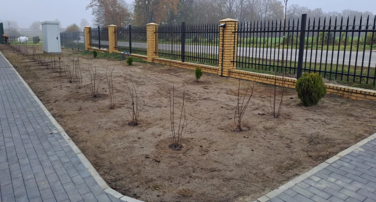 Fot. Publiczna Szkoła Podstawowa im. Janusza Korczaka w Sarnowie