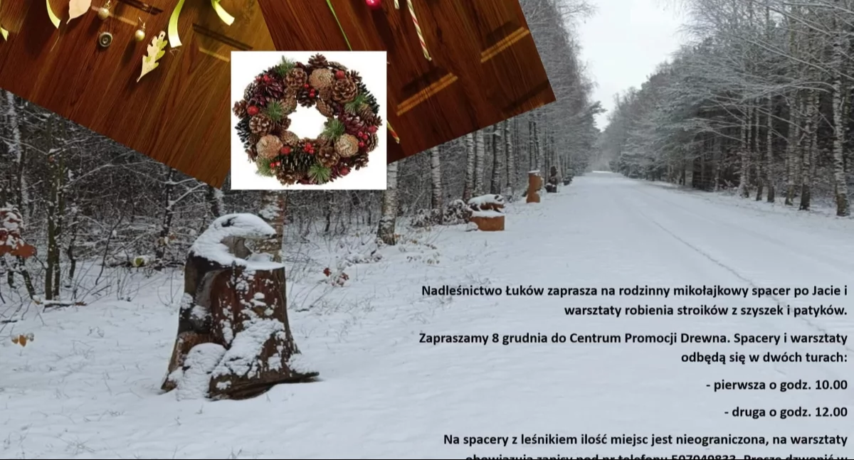 fot. Nadleśnictwo Łuków/Facebook