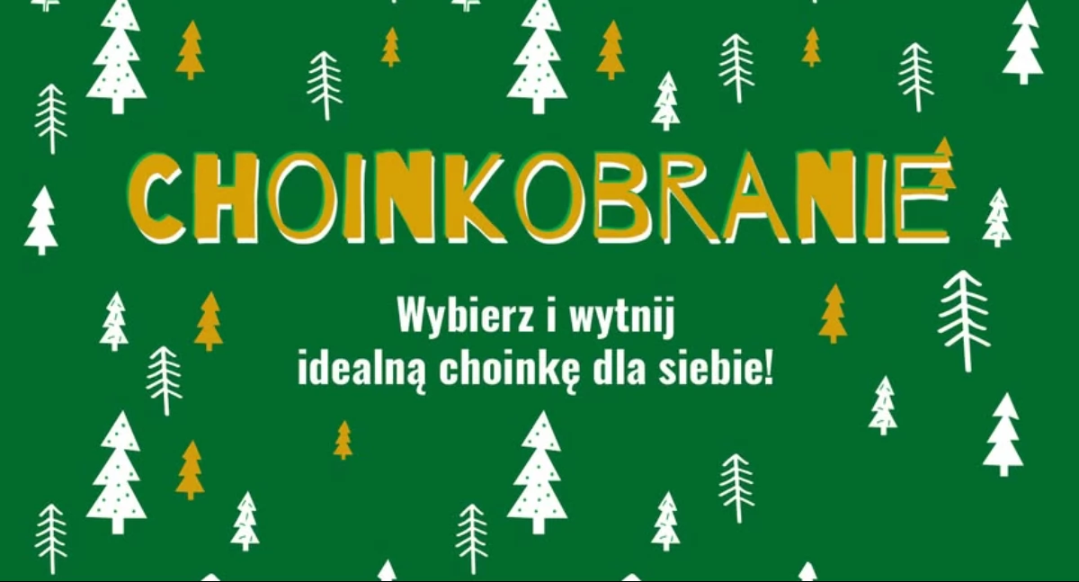 materiał organizatora