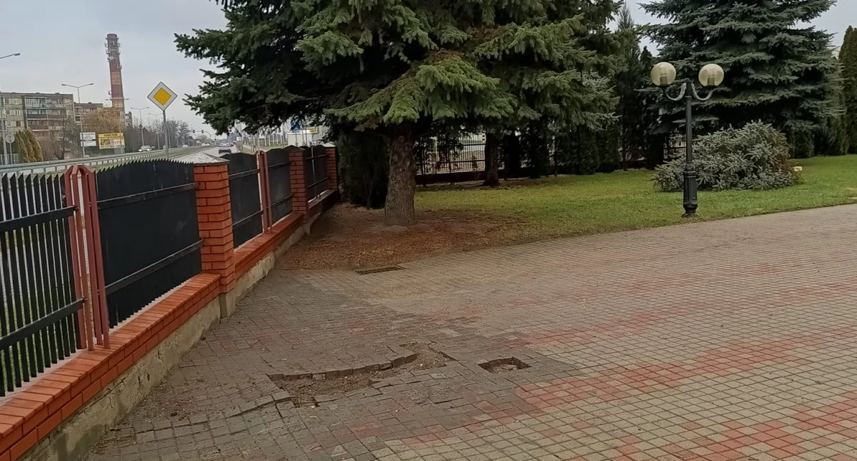 fot. parafia św. Brata Alberta w Łukowie/Facebook