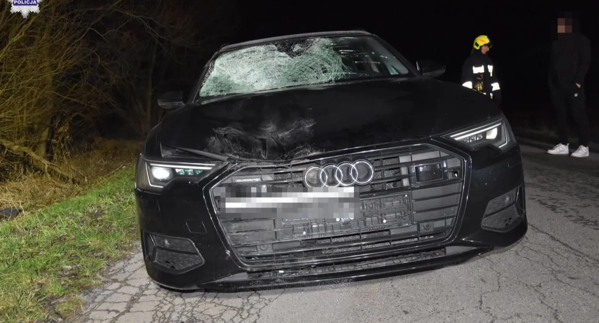 Policja, Tragiczny wypadek powiecie radzyńskim latek Łukowa zginął miejscu - zdjęcie, fotografia