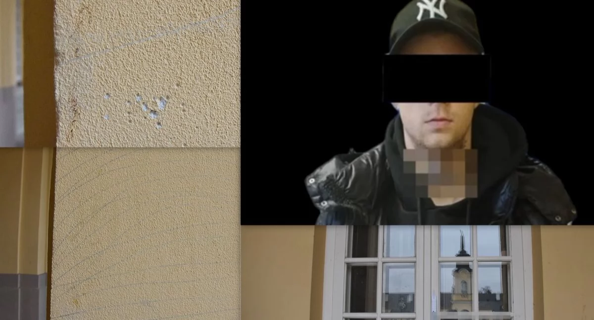 Policja, Szok! Młody wandal zdewastował Pałac Potockich Radzyniu Podlaskim! - zdjęcie, fotografia
