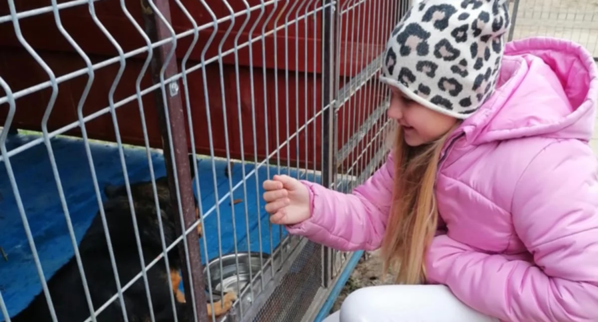 fot. SP nr 2 w Łukowie