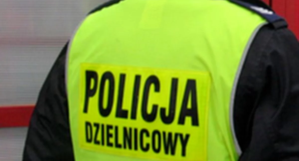 zdj. ilustracyjne