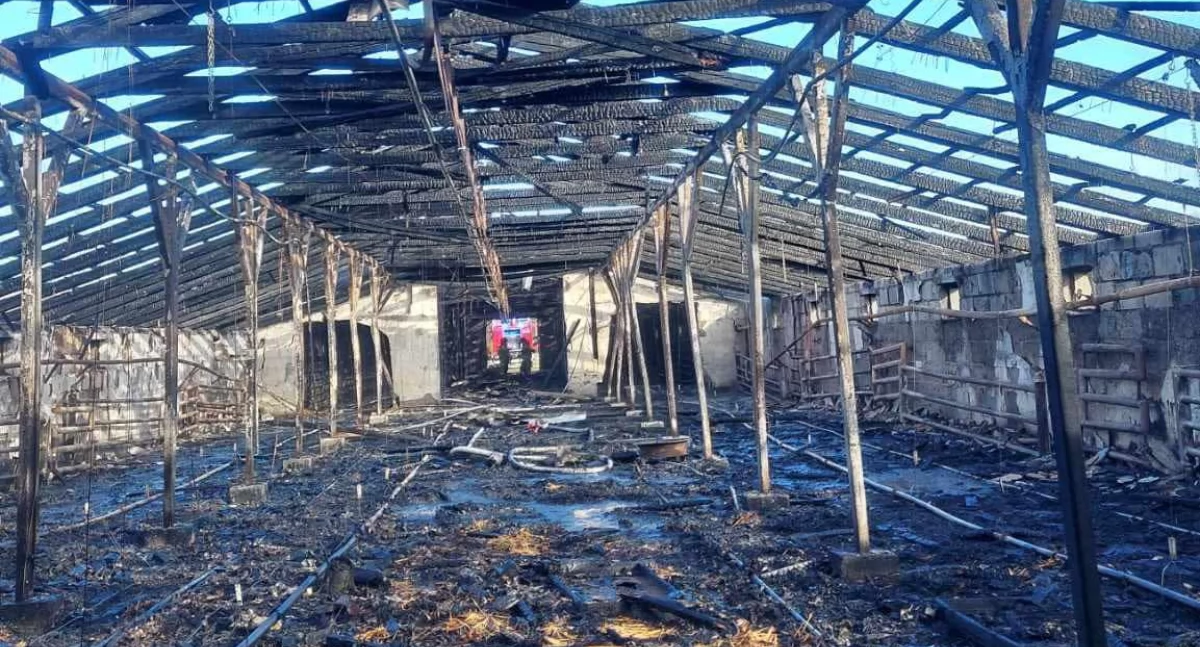 fot. OSP Kąkolewnica