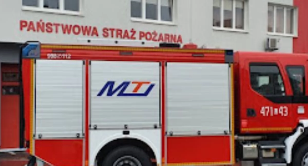 zdj. ilustracyjne