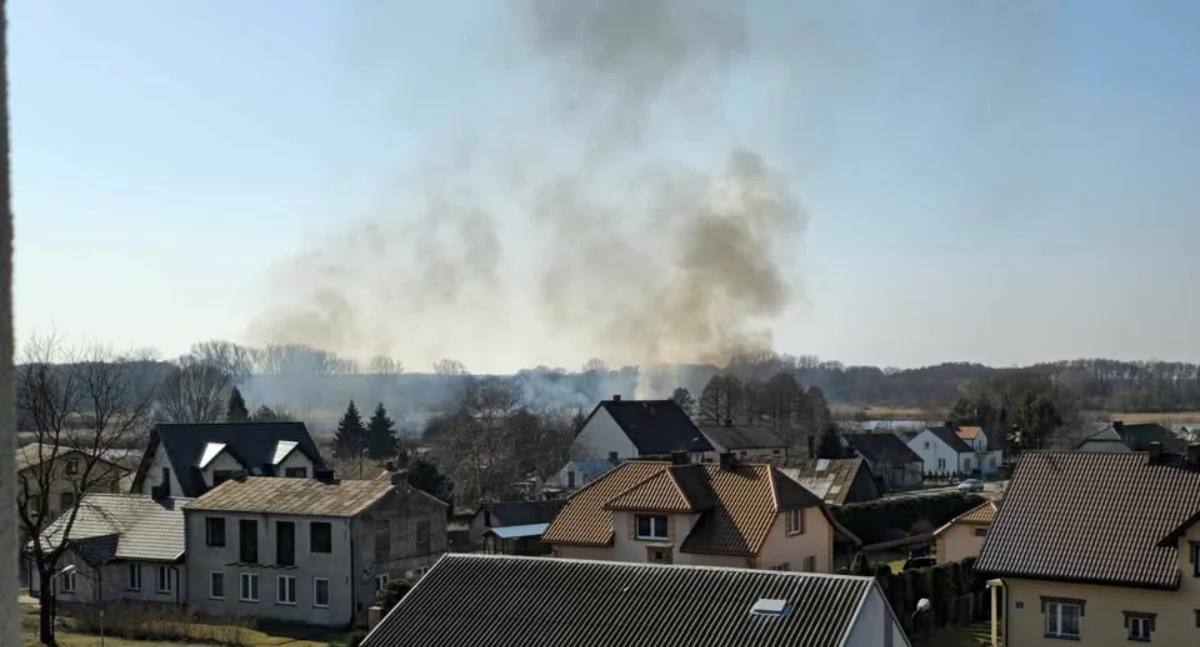 fot. czytelnik/nadesłane