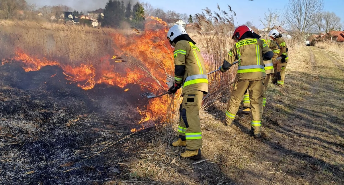 Zdjęcia KP PSP w Łukowie, OSP KSRG Adamów, OSP KSRG Stanin, OSP Wola Mysłowska, OSP Łazy.