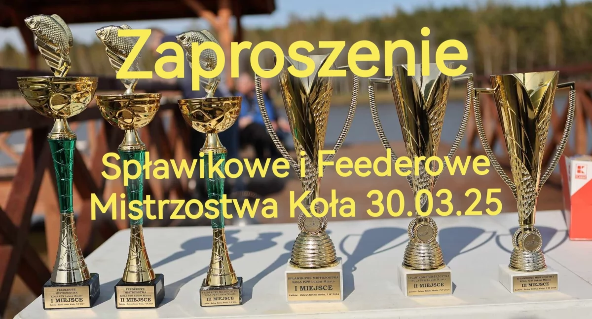 materiał organizatora