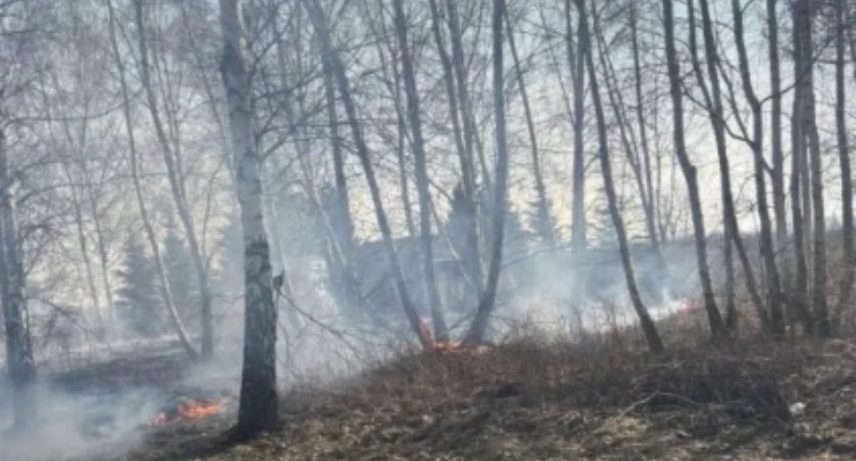 Fot. OSP KSRG Adamów