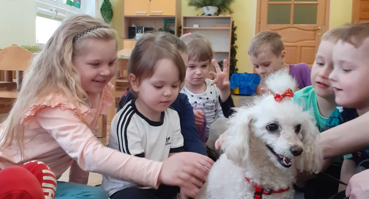Szkolnictwo, Dzień otwarty Przedszkolu Pawła Łukowie - zdjęcie, fotografia