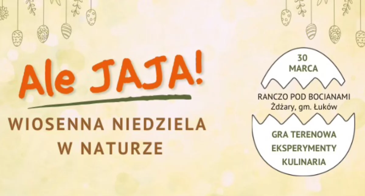 materiał organizatora
