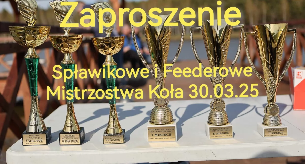 Wiadomości Partnera, Spławikowe Feederowe Mistrzostwa Koła Łuków Miasto - zdjęcie, fotografia