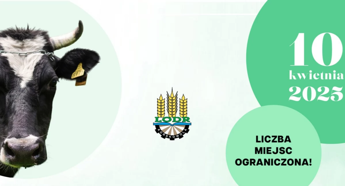materiał organizatora