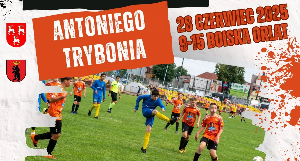 materiał organizatora