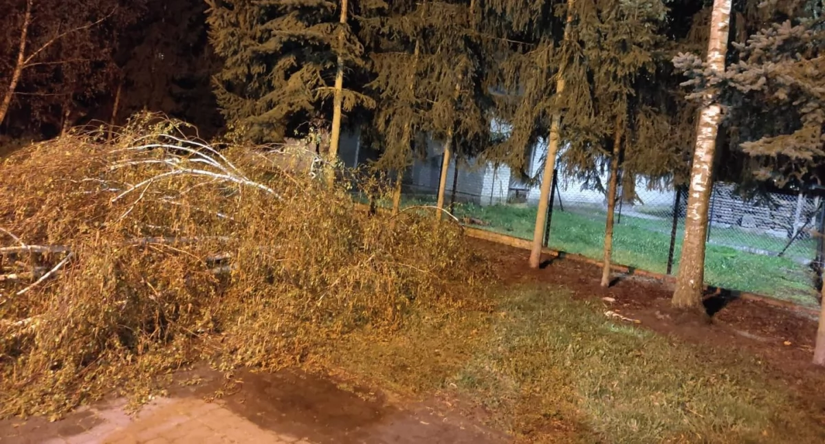 fot. OSP Wojcieszków