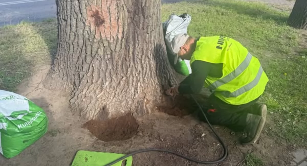 Przestępczość, Zatruty Łukowie ratuje cenny - zdjęcie, fotografia