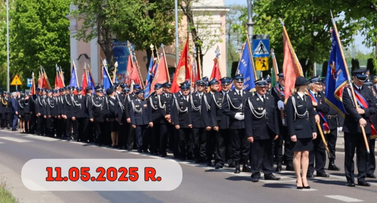materiał organizatora