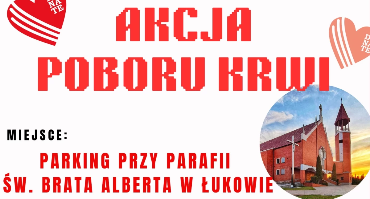 materiał organizatora