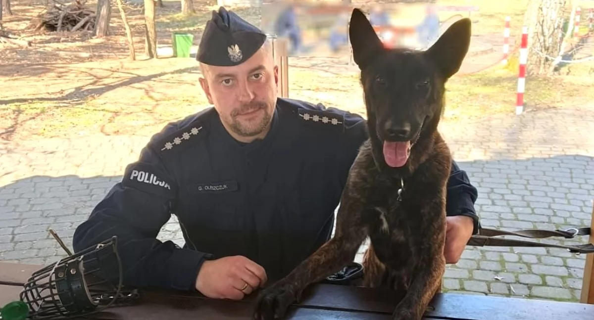 Policja, Policyjny odnalazł zaginionego latka lesie Leżał wyziębiony nieprzytomny - zdjęcie, fotografia