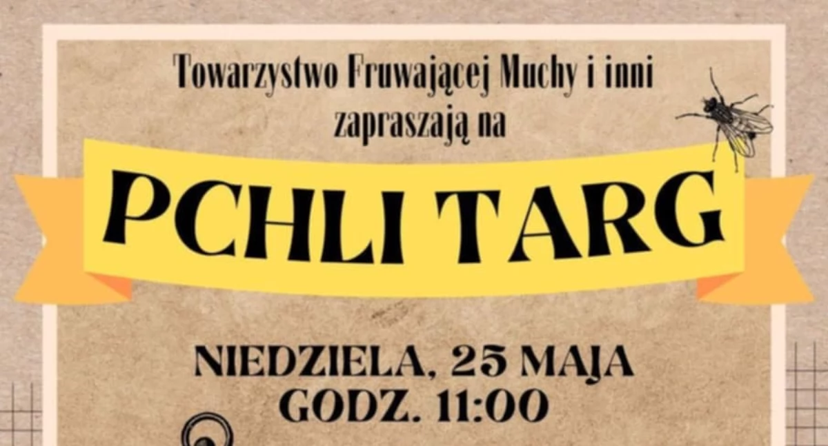 materiał organizatora