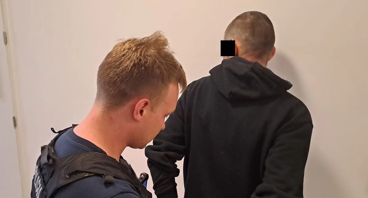 Przestępczość, Znęcał partnerką zakazu latek trafił aresztu miesiące - zdjęcie, fotografia