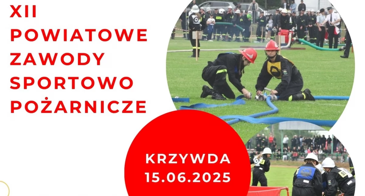 materiał organizatora