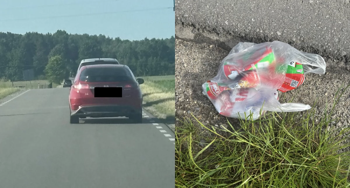 fot. Schroniska dla Zwierząt 