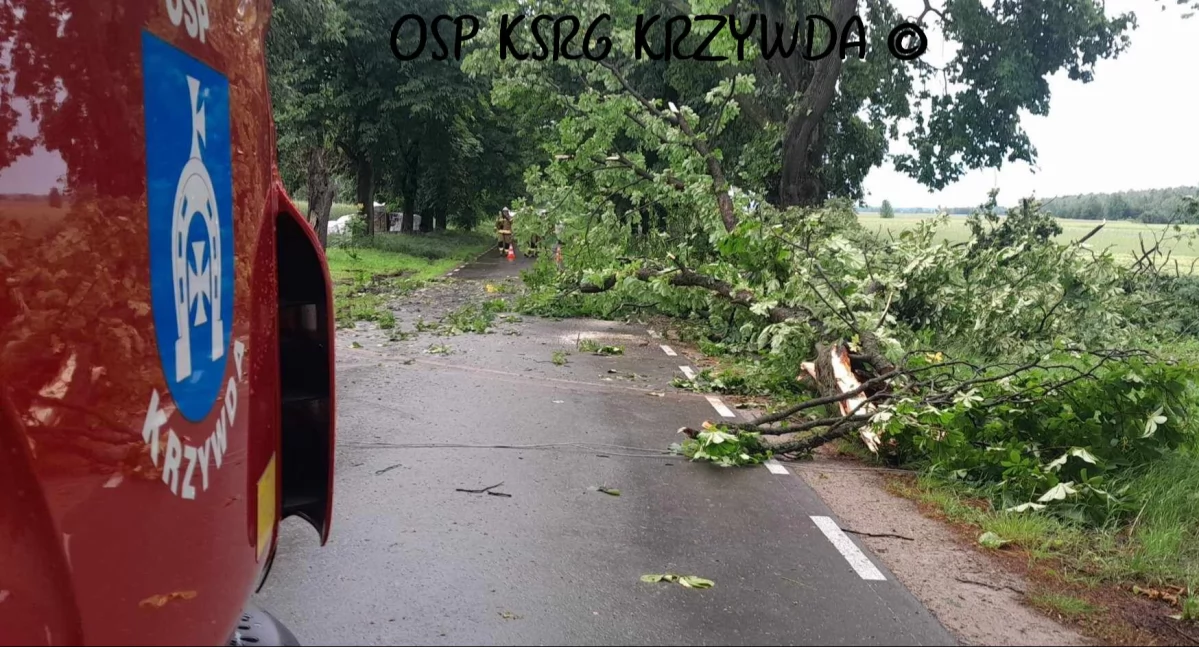 fot. OSP KSRG Krzywda
