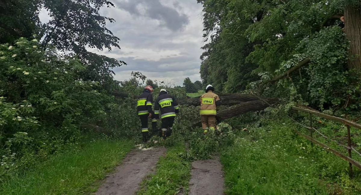 fot. OSP Charlejów
