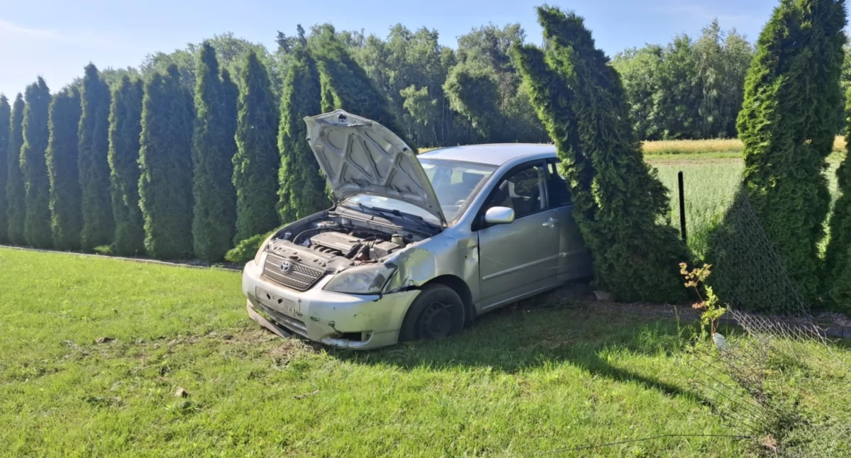 Fot. OSP Adamów!                                                  