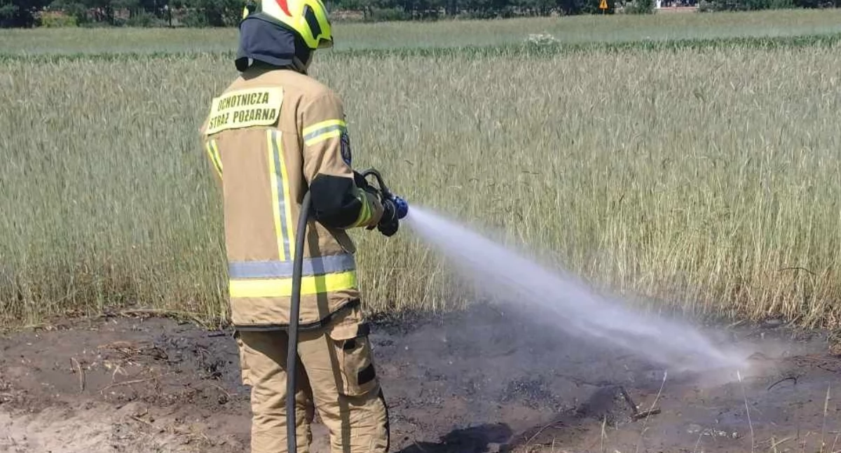 Straż Pożarna, Gorące popołudnie Hucie Dąbrowej Strażacy Podosia walce ogniem zboża - zdjęcie, fotografia